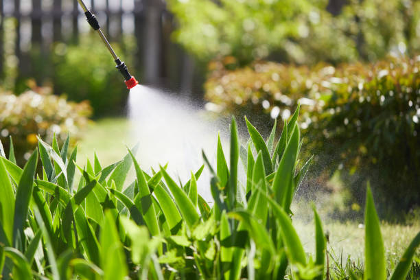 Tamper-Resistant Bait Stations for Rodents in Burnettown