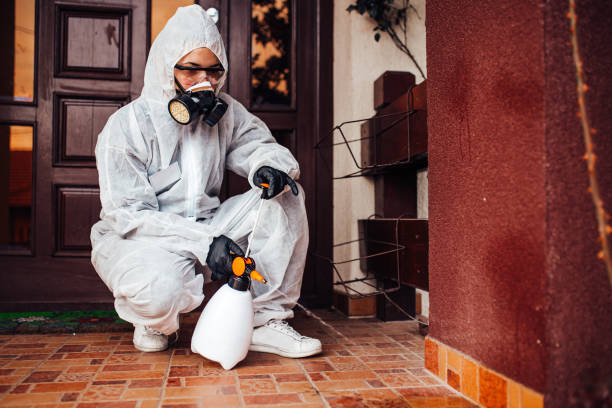 Attic and Crawl Space Rodent Treatment in Burnettown