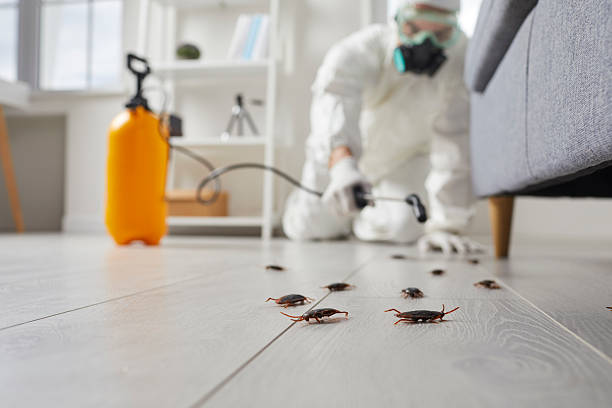 Commercial Rodent Management in Burnettown